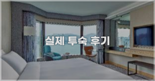 💬 실제 투숙 후기