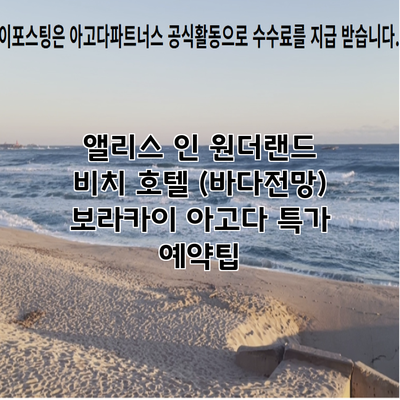 앨리스 인 원더랜드 비치 호텔 (바다전망) 보라카이 아고다 특가 예약팁